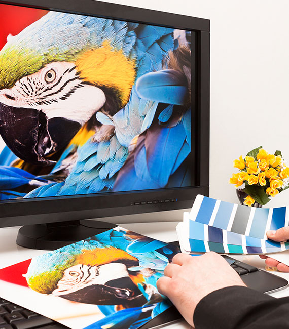 Kvalitatīvi dizaina un drukas pakalpojumi